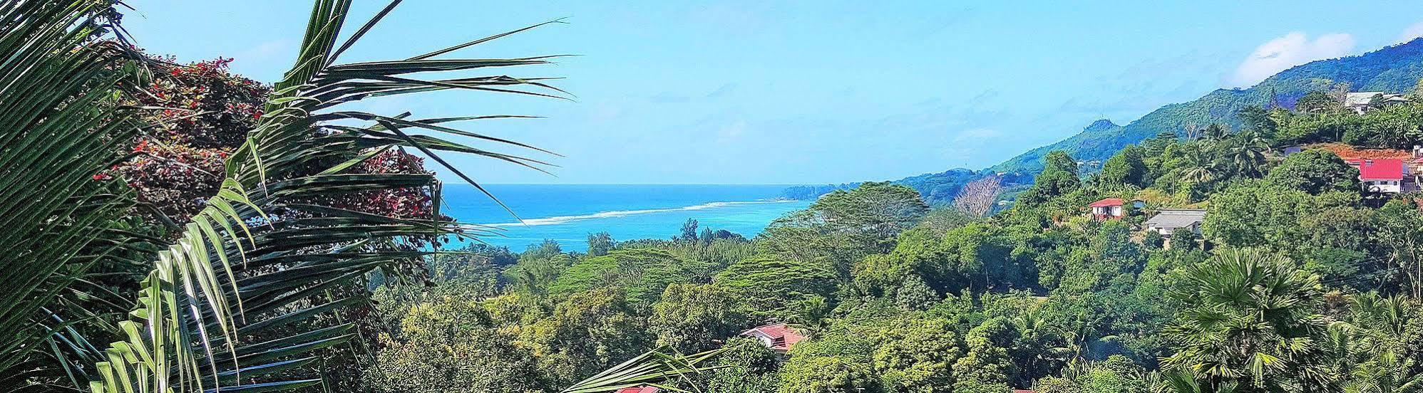 Lime Hill Lodge Anse aux Pins Extérieur photo
